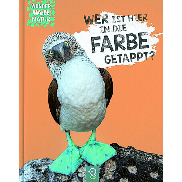 Wer ist hier in die Farbe getappt?, Wer ist hier in die Farbe getappt?