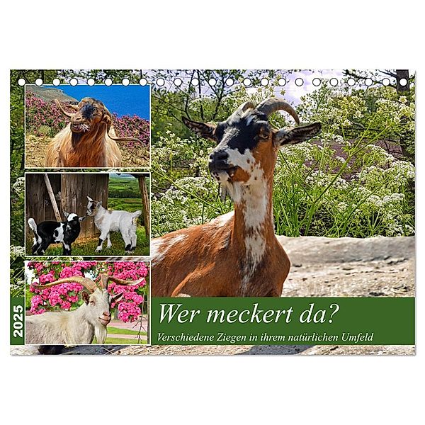 Wer meckert da? (Tischkalender 2025 DIN A5 quer), CALVENDO Monatskalender, Calvendo, Claudia Kleemann