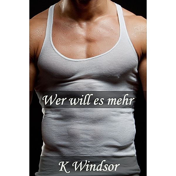 Wer will es mehr? Eine erotische Gay Fantasie, K. Windsor