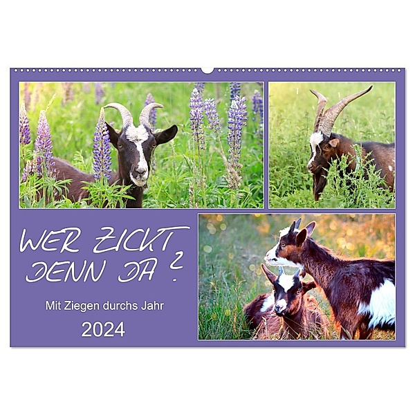 Wer zickt denn da? Mit Ziegen durchs Jahr (Wandkalender 2024 DIN A2 quer), CALVENDO Monatskalender, Sabine Löwer