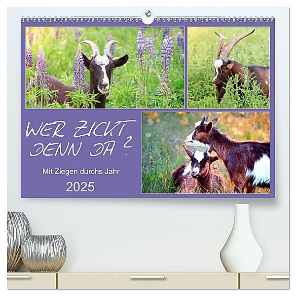 Wer zickt denn da? Mit Ziegen durchs Jahr (hochwertiger Premium Wandkalender 2025 DIN A2 quer), Kunstdruck in Hochglanz, Calvendo, Sabine Löwer