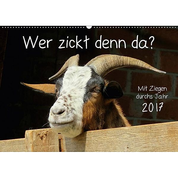 Wer zickt denn da? (Wandkalender 2017 DIN A2 quer), Sabine Löwer