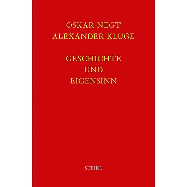 Werkausgabe: Bd.6.1 Geschichte und Eigensinn, Alexander Kluge