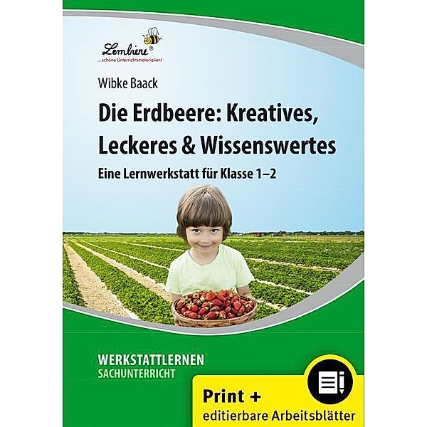 Werkstattlernen Sachunterricht / Die Erdbeere: Kreatives, Leckeres & Wissenswertes, m. 1 CD-ROM, Wibke Baack