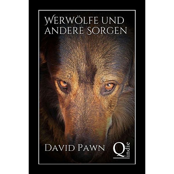 Werwölfe und andere Sorgen, David Pawn