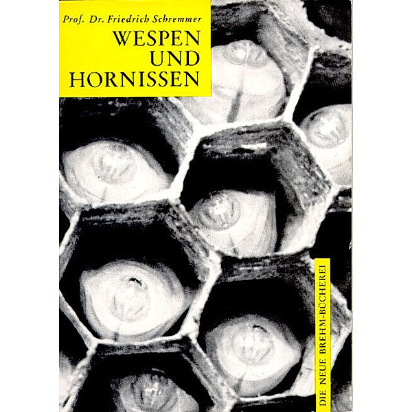 Wespen und Hornissen, Friedrich Schremmer