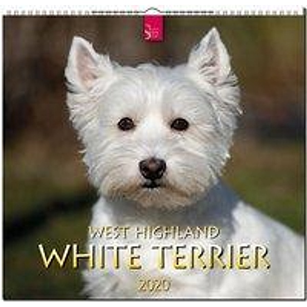 West Highland White Terrier 2020