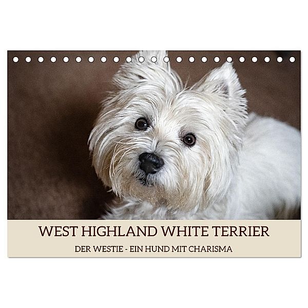 WEST HIGHLAND WHITE TERRIER - DER WESTIE - EIN HUND MIT CHARISMA (Tischkalender 2024 DIN A5 quer), CALVENDO Monatskalender, Angela Rohde