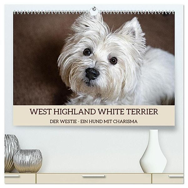 WEST HIGHLAND WHITE TERRIER - DER WESTIE - EIN HUND MIT CHARISMA (hochwertiger Premium Wandkalender 2024 DIN A2 quer), Kunstdruck in Hochglanz, Angela Rohde