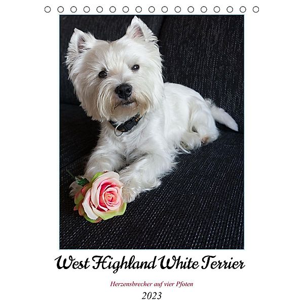 West Highland White Terrier - Herzensbrecher auf vier Pfoten (Tischkalender 2023 DIN A5 hoch), Angela Rohde