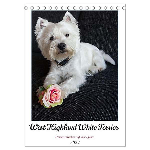 West Highland White Terrier - Herzensbrecher auf vier Pfoten (Tischkalender 2024 DIN A5 hoch), CALVENDO Monatskalender, Angela Rohde