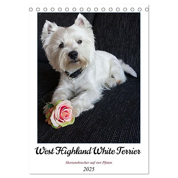 West Highland White Terrier - Herzensbrecher auf vier Pfoten (Tischkalender 2025 DIN A5 hoch), CALVENDO Monatskalender, Calvendo, Angela Rohde