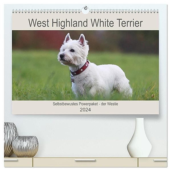 West Highland White Terrier - Selbstbewustes Powerpaket - der Westie (hochwertiger Premium Wandkalender 2024 DIN A2 quer), Kunstdruck in Hochglanz, Barbara Mielewczyk