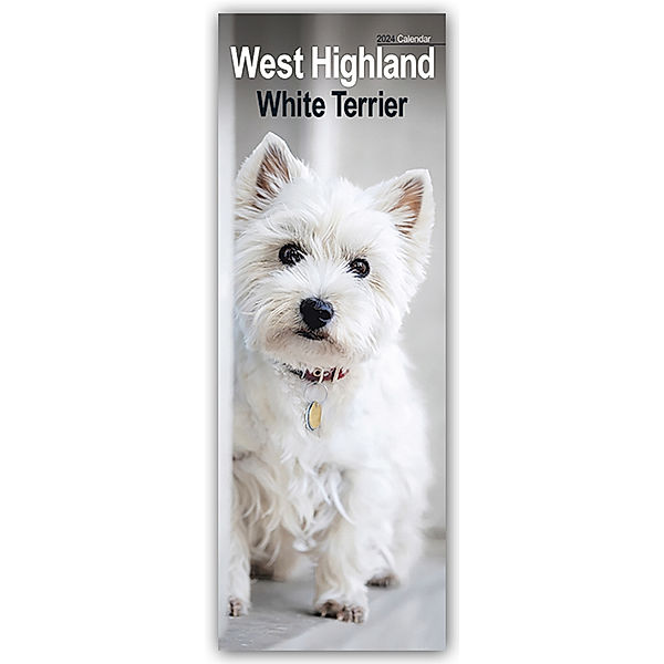 West Highland White Terrier - Westies 2024, Avonside Publishing Ltd