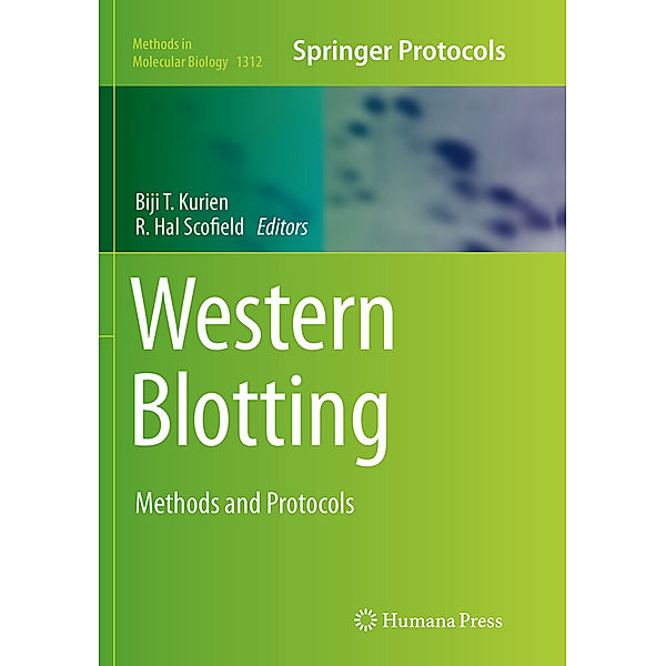 Western Blotting