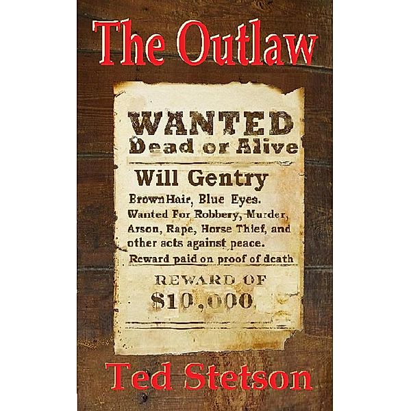 Western: The Outlaw, Ted Stetson