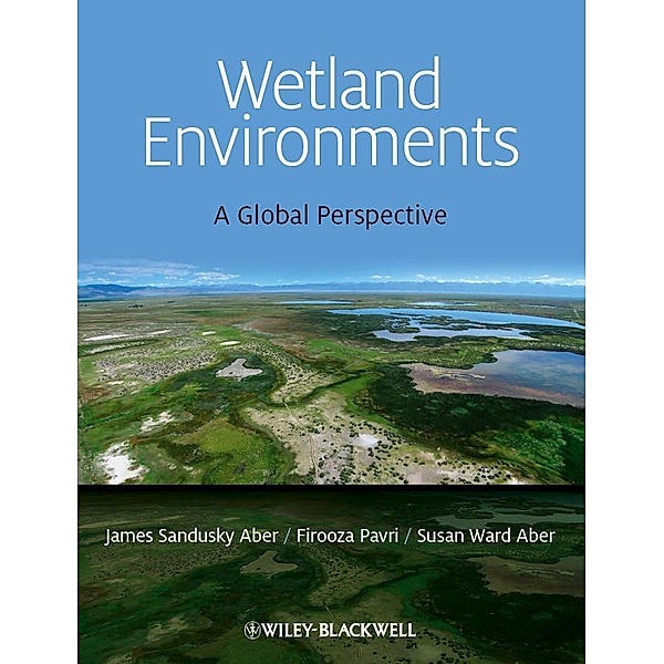 Wetland Environments, James S. Aber, Firooza Pavri, Susan Aber