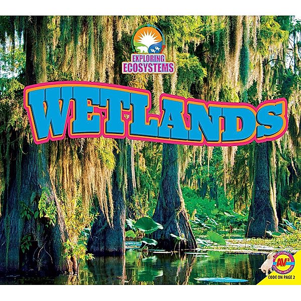 Wetlands, John Willis