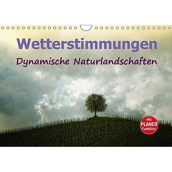 Wetterstimmungen. Dynamische Naturlandschaften (Wandkalender 2017 DIN A4 quer), Liselotte Brunner-Klaus