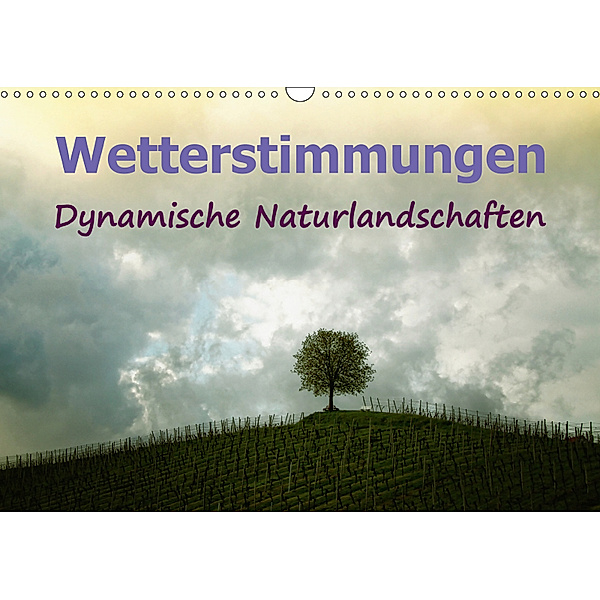 Wetterstimmungen. Dynamische Naturlandschaften (Wandkalender 2019 DIN A3 quer), Liselotte Brunner-Klaus
