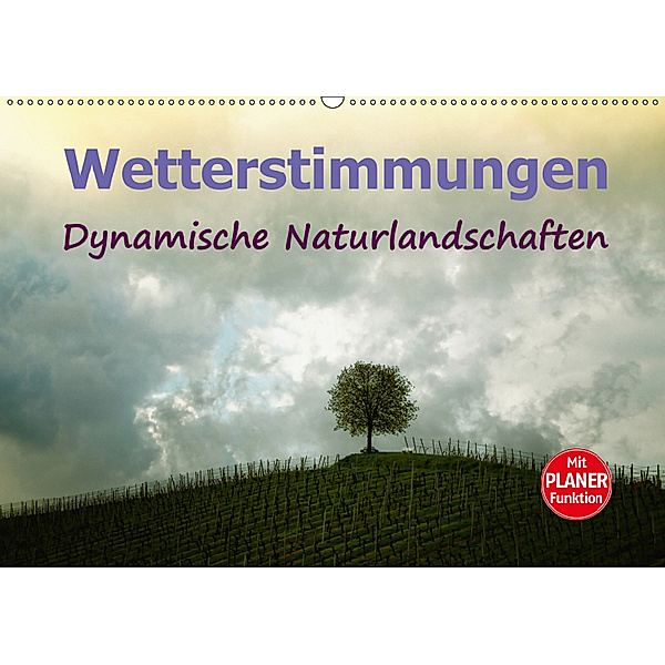 Wetterstimmungen. Dynamische Naturlandschaften (Wandkalender 2019 DIN A2 quer), Liselotte Brunner-Klaus