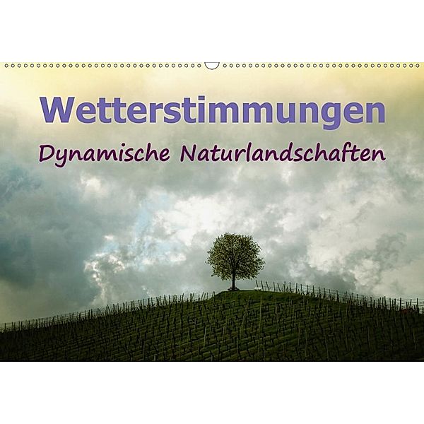 Wetterstimmungen. Dynamische Naturlandschaften (Wandkalender 2020 DIN A2 quer), Liselotte Brunner-Klaus