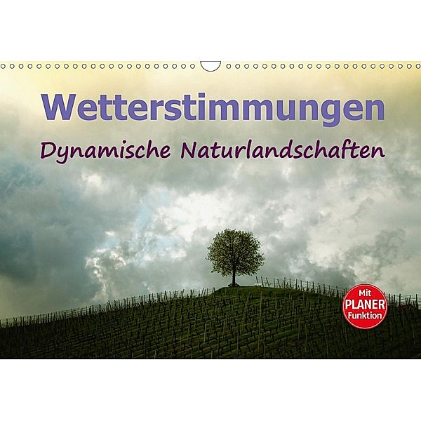 Wetterstimmungen. Dynamische Naturlandschaften (Wandkalender 2021 DIN A3 quer), Liselotte Brunner-Klaus