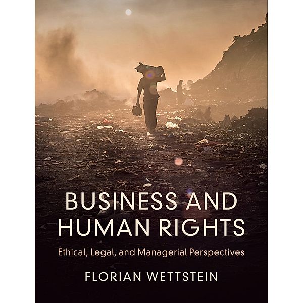 Wettstein, F: Business and Human Rights, Florian Wettstein