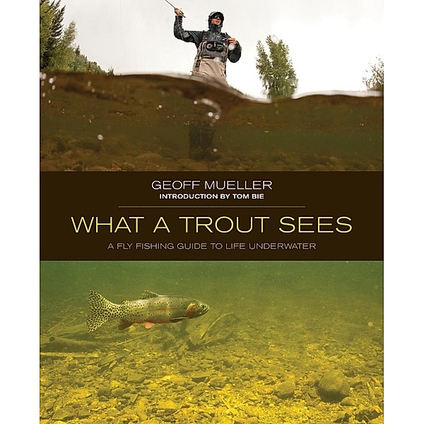 What a Trout Sees, Geoff Mueller