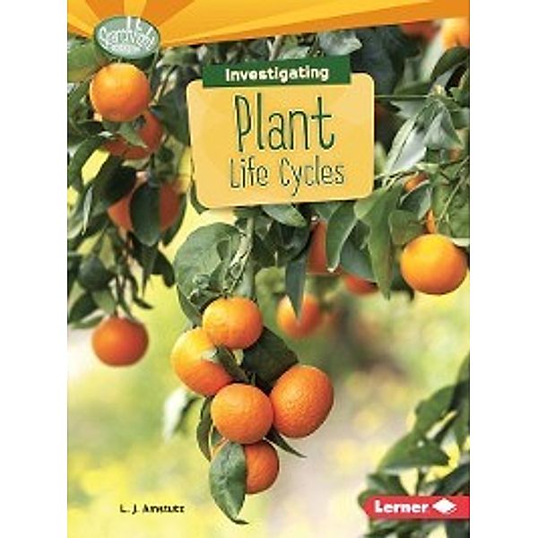 What Are Earth's Cycles?: Investigating Plant Life Cycles, L. J. Amstutz