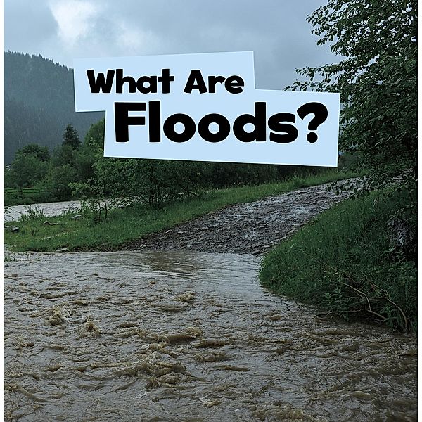 What Are Floods? / Raintree Publishers, Mari Schuh
