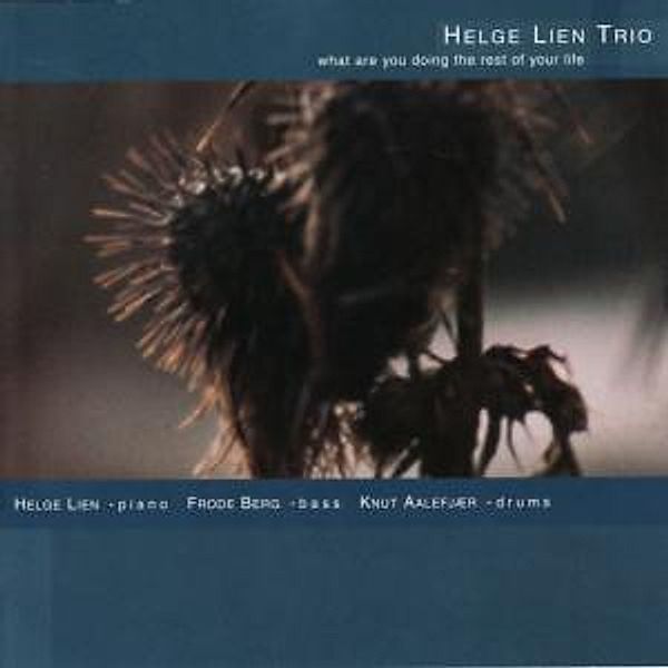 What Are You Doing The Rest Of, Helge Lien Trio