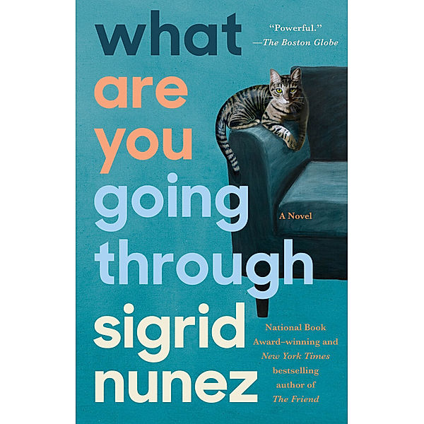 What Are You Going Through, Sigrid Nunez