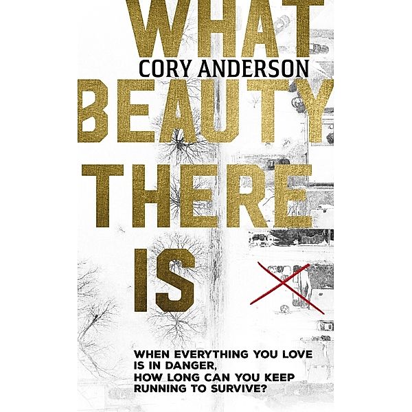 What Beauty There Is, Cory Anderson