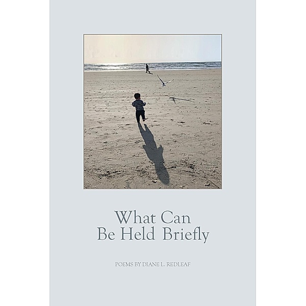 What Can Be Held Briefly, Diane L. Redleaf