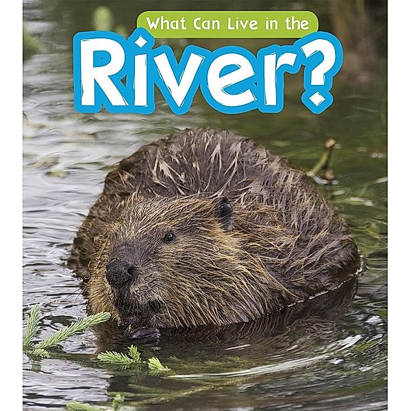 What Can Live in a River? / Raintree Publishers, John-Paul Wilkins