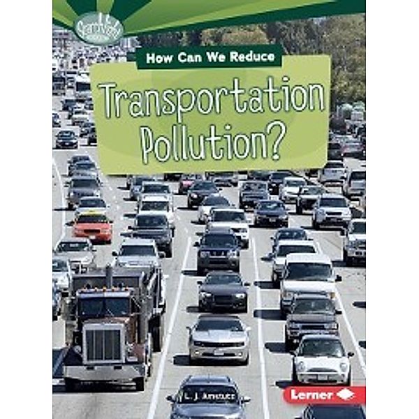 What Can We Do about Pollution?: How Can We Reduce Transportation Pollution?, L. J. Amstutz