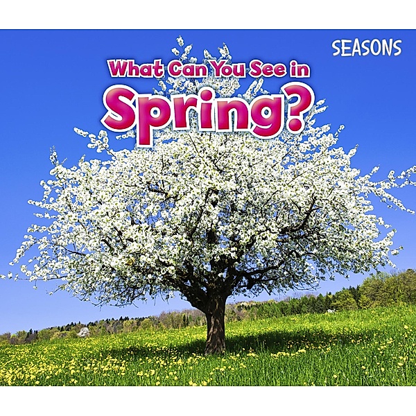 What Can You See In Spring? / Raintree Publishers, Sian Smith