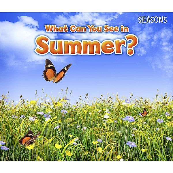 What Can You See In Summer? / Raintree Publishers, Sian Smith