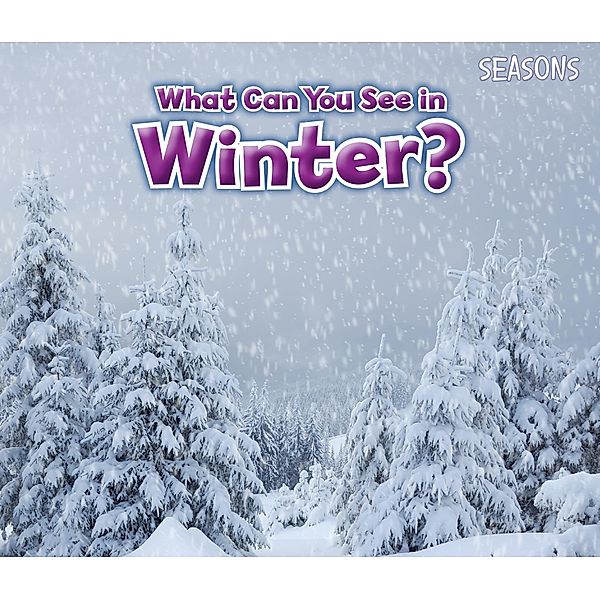What Can You See In Winter? / Raintree Publishers, Sian Smith