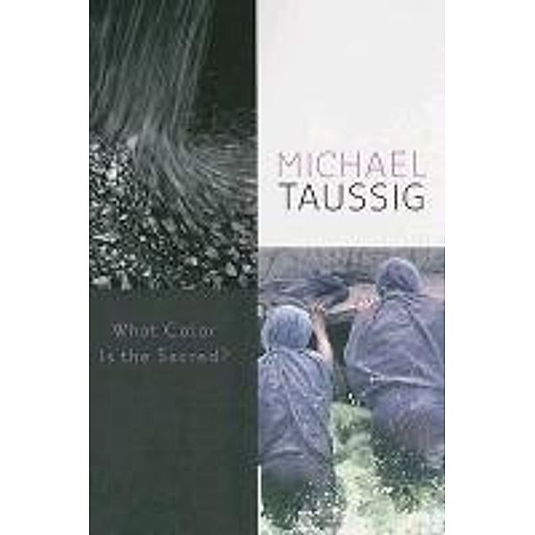 What Color Is the Sacred?, Michael Taussig