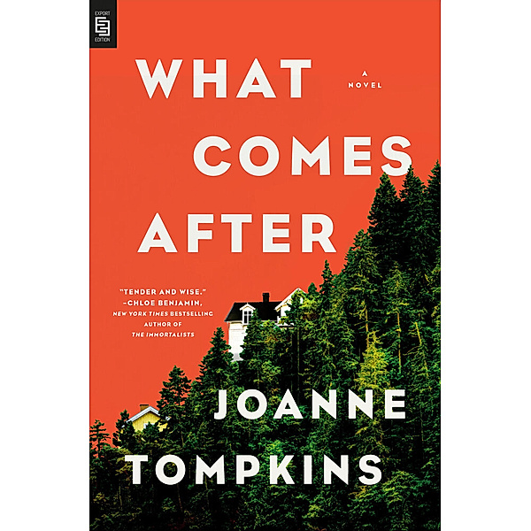 What Comes After, Joanne Tompkins