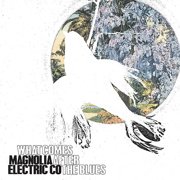 What Comes After The Blues (Vinyl), Magnolia Electric Co.