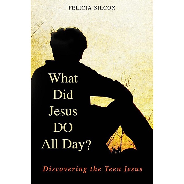 What Did Jesus DO All Day?, Felicia Silcox