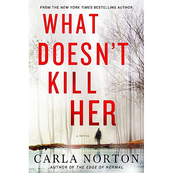 What Doesn't Kill Her / Reeve LeClaire Series Bd.2, Carla Norton