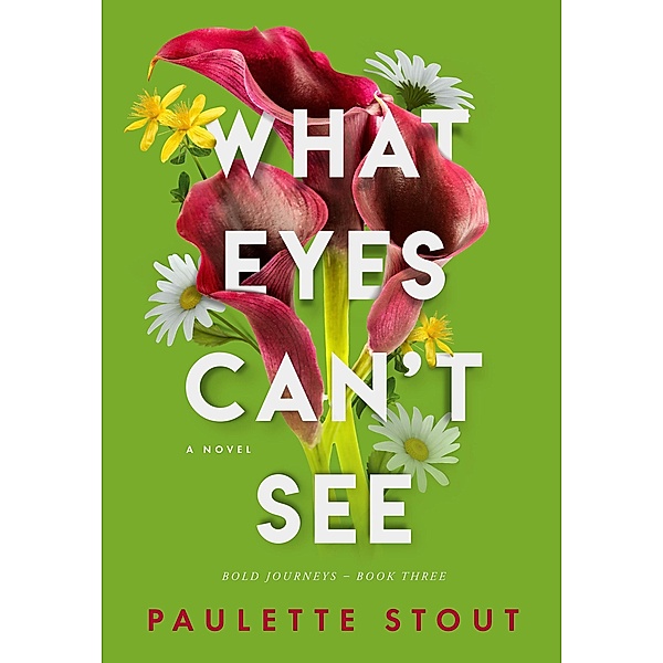 What Eyes Can't See (Bold Journeys, #3) / Bold Journeys, Paulette Stout