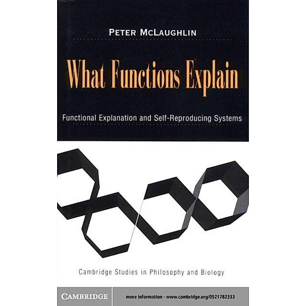 What Functions Explain, Peter McLaughlin