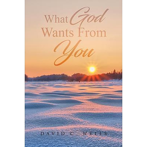 What God Wants From You / URLink Print & Media, LLC, David C. Wells