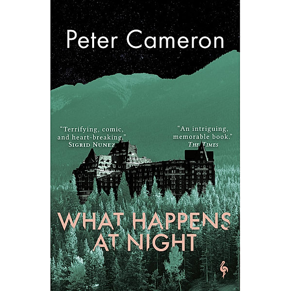 What Happens at Night, Peter Cameron