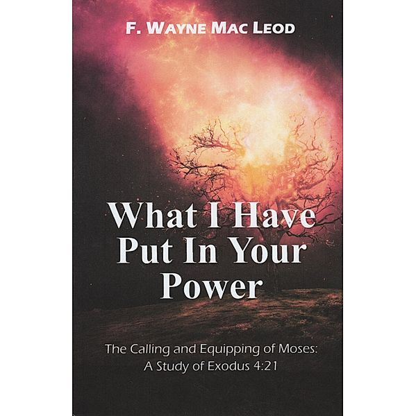 What I Have Put in Your Power, F. Wayne Mac Leod